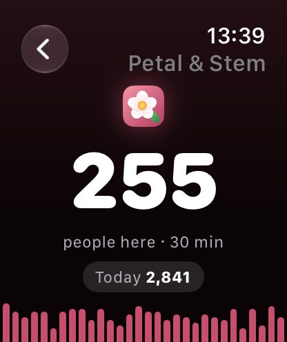 O site de uma floricultura no Apple Watch